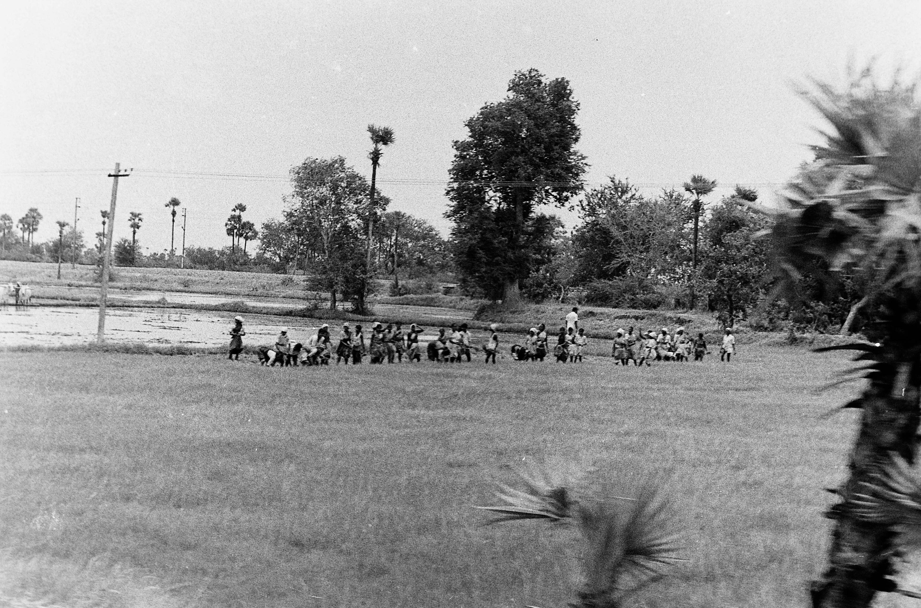 NTR BLACK AND WHITE NEGATIVES 556