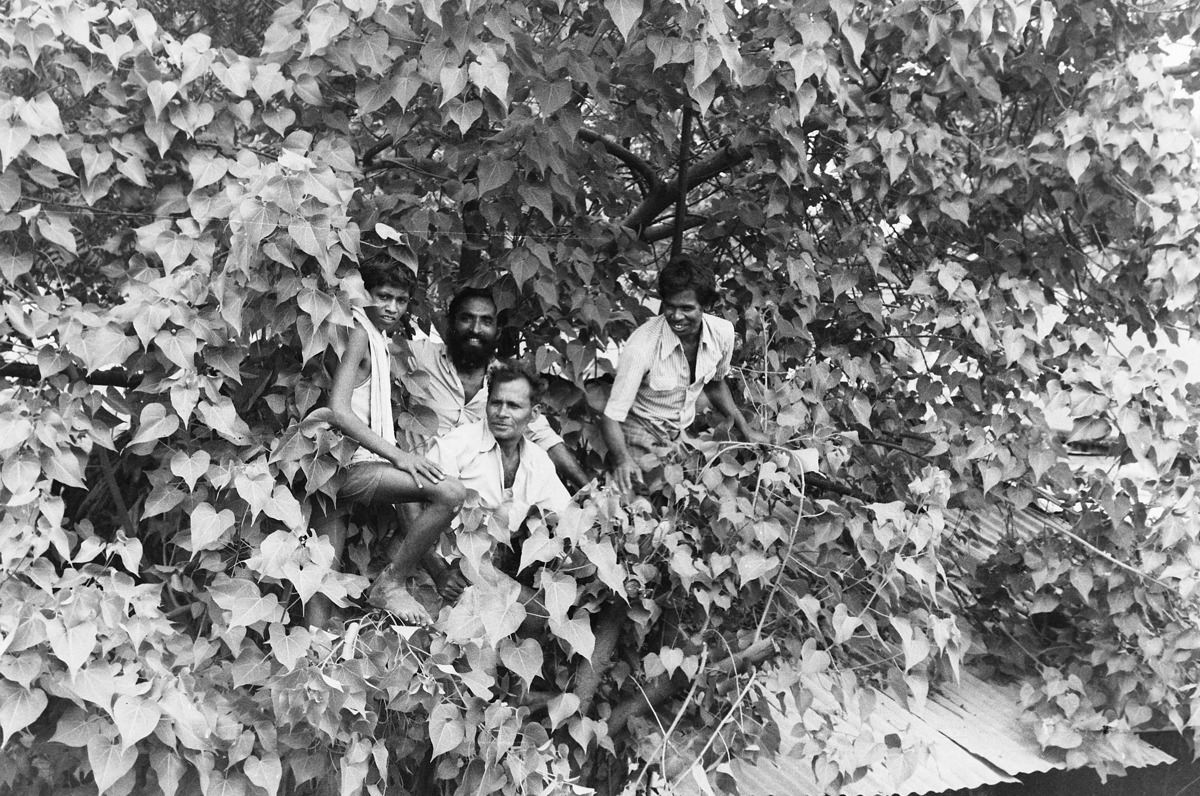 NTR BLACK AND WHITE NEGATIVES 128